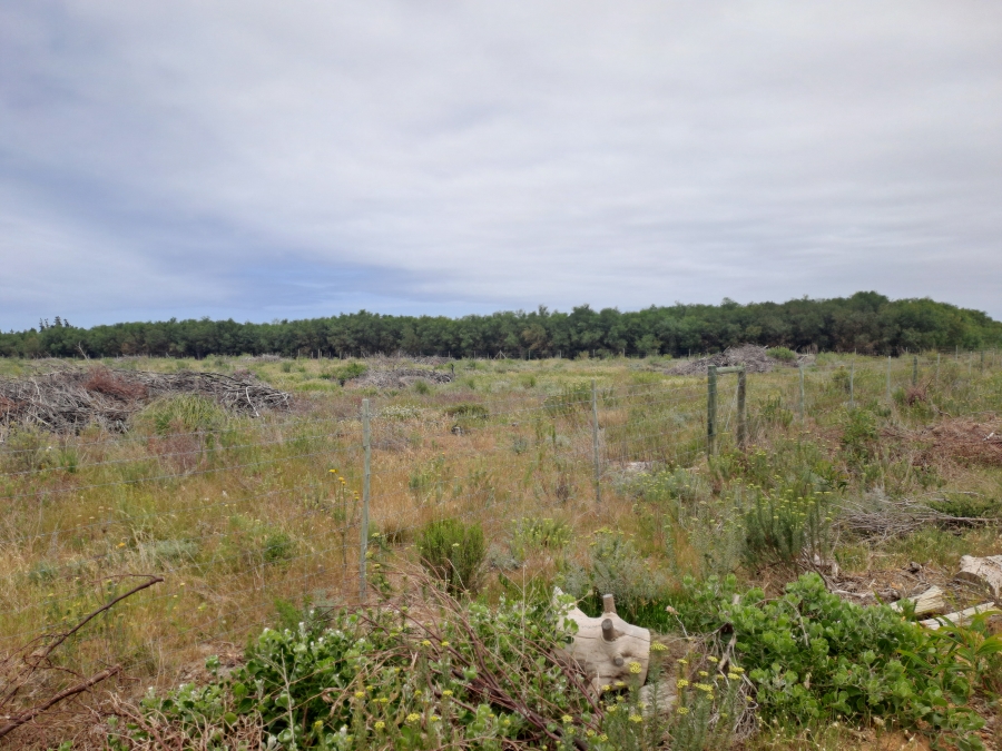 Commercial Property for Sale in Kleinmond Rural Western Cape